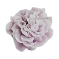 thumbnail image 2 of ¡Oferta de velas! Vela perfumada de clavel, regalo para el Día del Maestro con diseño floral realista | Aromaterapia, relajación y decoración del hogar. ¡Oferta relámpago!, 2 of 8