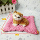thumbnail image 3 of Simulación de gato durmiendo una prensa llamará adornos de joyería gato de juguete para niños regalo creativo gato de simulación, 3 of 5