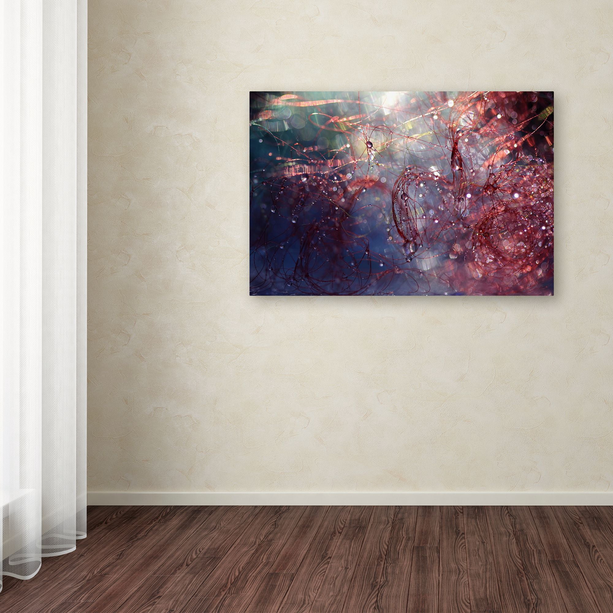 Trademark Fine Art "Adventures of Red" Canvas Art by Beata Czyzowska Young