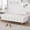 White, variant on Wiilayok 52" End of Bed Bench,Modern Velvet Upholstered Ottoman Bench for Bedroom Indoor Entryway,Orange