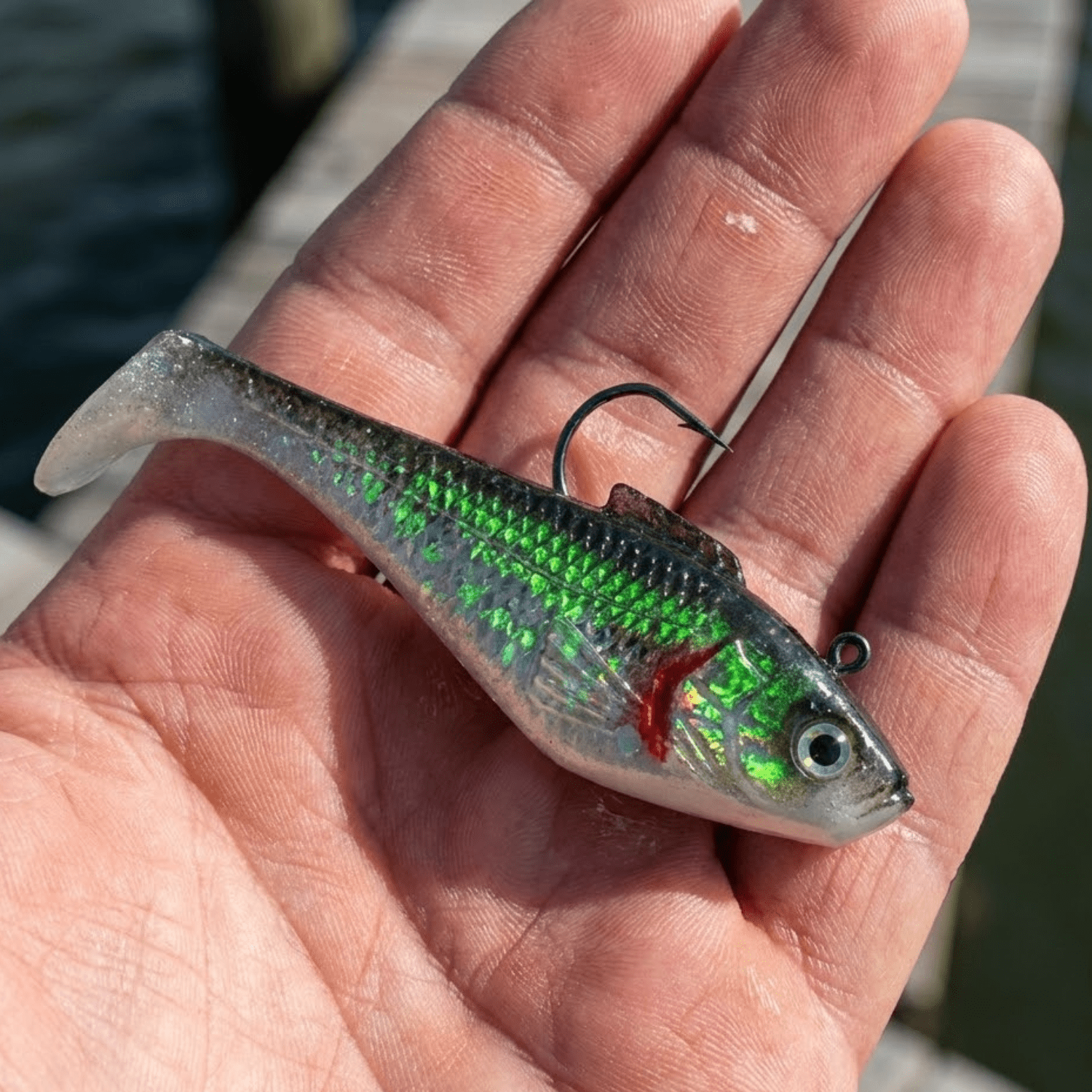 Tsunami 2'' Holographic Swim Shad Fishing Lure, Black Back, 3-Pack