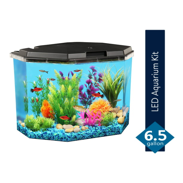 terrorisme Zwijgend grond Aqua Culture 6.5-Gallon Semi-Hex Aquarium Kit with LED Lighting and Power  Filter, Ideal for a Variety of Tropical Fish - Walmart.com