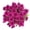 Purple, variant on Expert Gardener 3QT Yellow Mum Live Plant