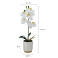 thumbnail image 3 of Home Accents 16-inch Artificial Real Touch Phalaenopsis Orchid in Cream Glaze Ceramic Pot, Yellow, 3 of 7
