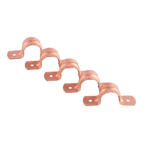 Cash Acme & Sharkbite CPS050Z5 0.5 in. 2-Hole Tube Strap, Pack of 5