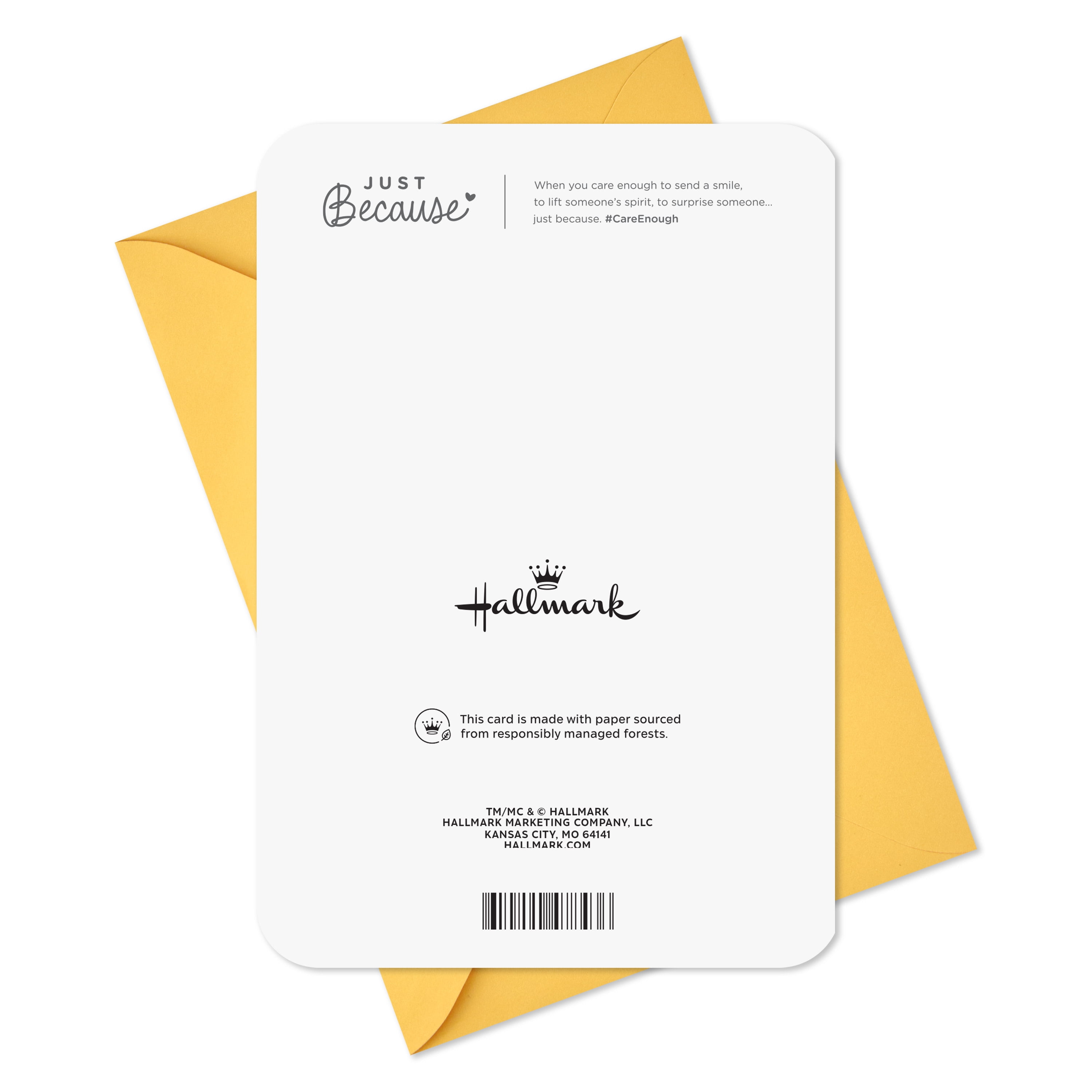 Hallmark Just Because Thank You Card (Sunny Wildflowers)