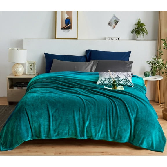 Blanket Queen King Throw Size Flannel Fleece Lightweight Blanket for Bed Sofa