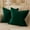 Dark Green, variant on Nmkwnr 2 Pack Velvet Super Soft Cushion Case with Zipper, Solid Color Decorative Square Throw Pillow Covers Set for Sofa Bedroom Car, 16 x 16 inch