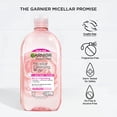 thumbnail image 4 of Limpiador facial y desmaquillante Garnier Micellar Water 700 ml, 4 of 6