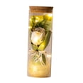 thumbnail image 4 of Flor Preservada Con Hilo De Luz Regalo Del Día De San Valentín Para Ella, 4 of 8