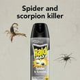 Raid Spider and Scorpion Killer, Kills spiders, scorpions, roaches