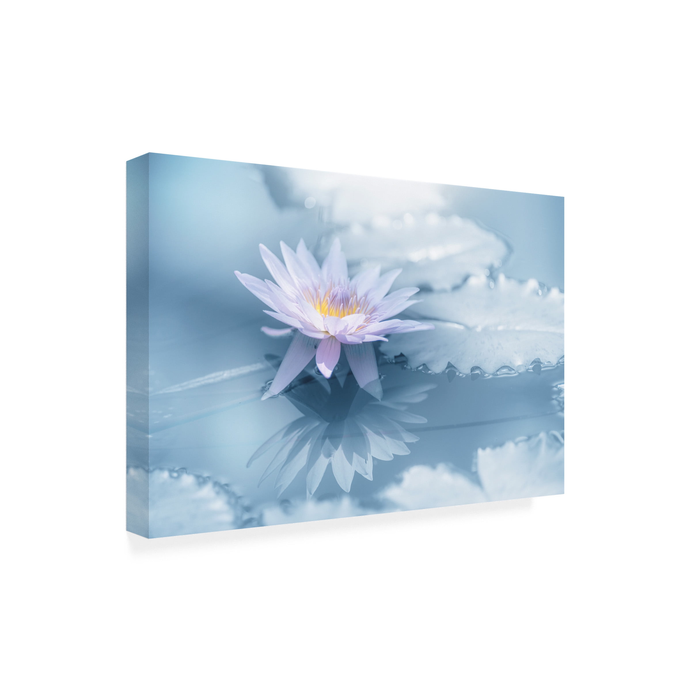 Takashi Suzuki 'Reflection' Canvas Art