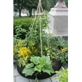 thumbnail image 5 of SMART POT Round Raised Bed Mini (24 in) - Black, 5 of 5