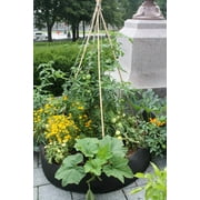 SMART POT Round Raised Bed Mini (24 in) - Black