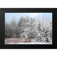 thumbnail image 2 of Jones, Mike 14x11 Black Modern Framed Museum Art Print Titled - Frosty Morning, 2 of 5