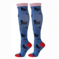 thumbnail image 1 of Men Women Socks Compression Socks Elastic Sports Beautiful Leg Nurse Stocking Jogging Climbing Cycling Flight Excercise 57 S M, 1 of 6