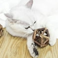 thumbnail image 5 of Toys Sticks Organic Natural Silver vine Pet Cat Supply for Cats Chatsworth Rack Catmint Low, 5 of 9