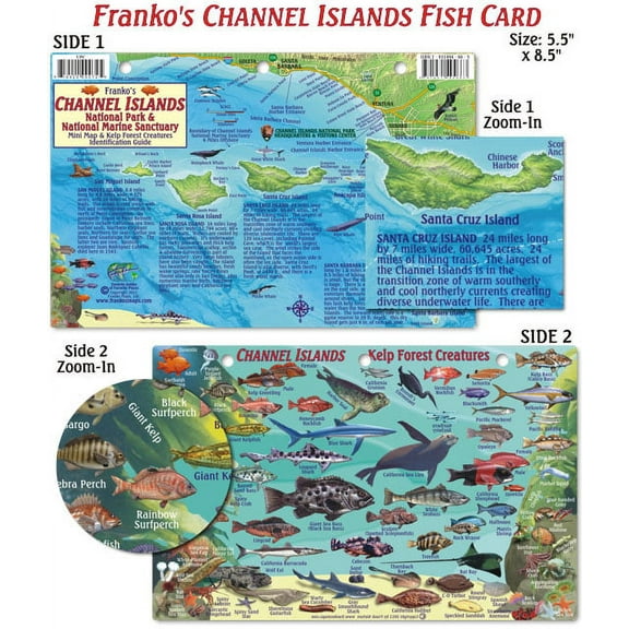Franko Maps - Channel Islands Fish ID