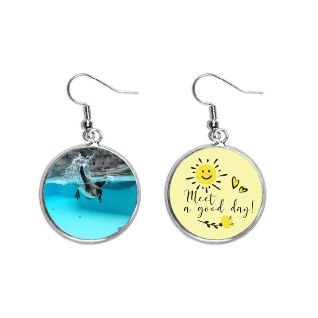 Océano Antártico pingüino ciencia naturaleza foto Pendiente Sol Flor Pendiente Joyas Moda Unbranded M