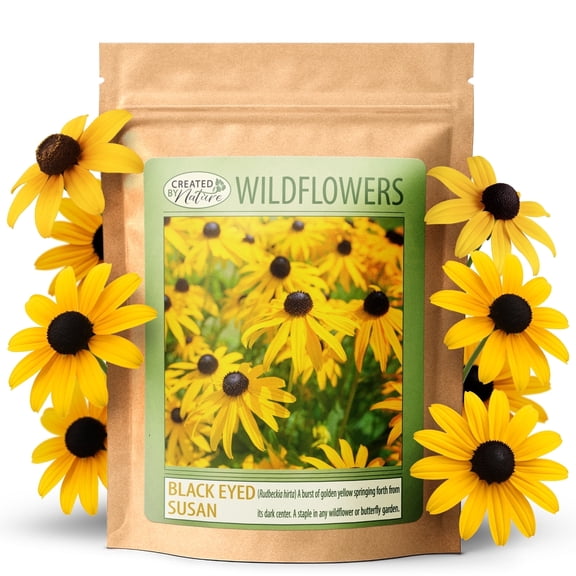 Black-Eyed Susan Wildflower Seeds, 55,000 Non-GMO Yellow Daisy Seeds - Created By Nature
