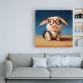 thumbnail image 3 of Trademark Fine Art 'Back to school Rabbit' Canvas Art by Lucia Hefferna, 3 of 3