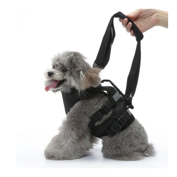 Dog Mobility Support Harness for Aging Disabled Pets At Home Post Surgery Recovery Walking Aid