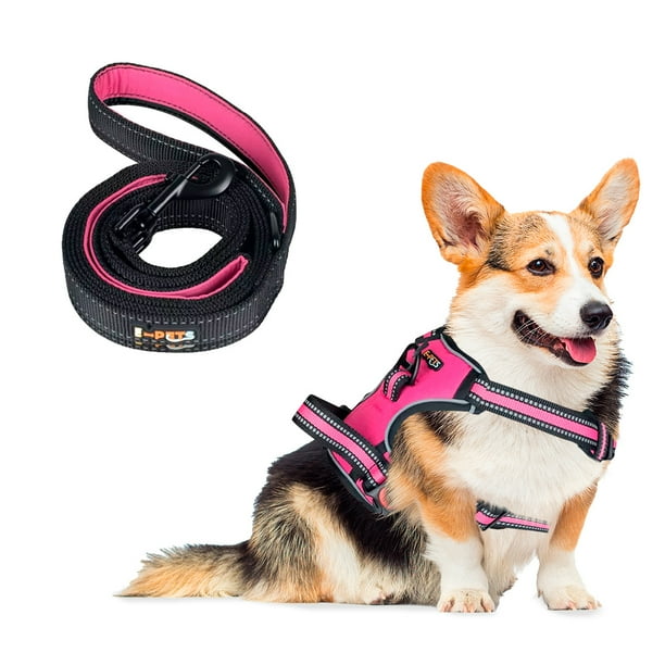 Pechera Arnes + Correa E-Pets Color Rosa para perro mediano, Ajustable Antitirones resistente para paseo Entrenamiento