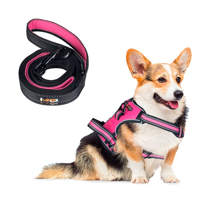 Pechera Arnes + Correa E-Pets Color Rosa para perro mediano, Ajustable Antitirones resistente para paseo Entrenamiento