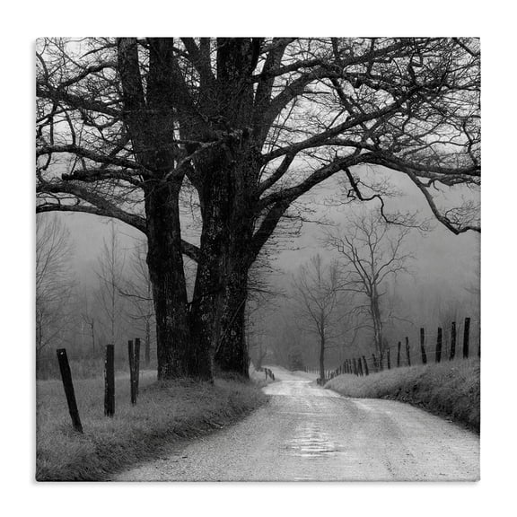 Stupell Industries Farmhouse Canvas Art, 17 x 17, by Nicholas Bell