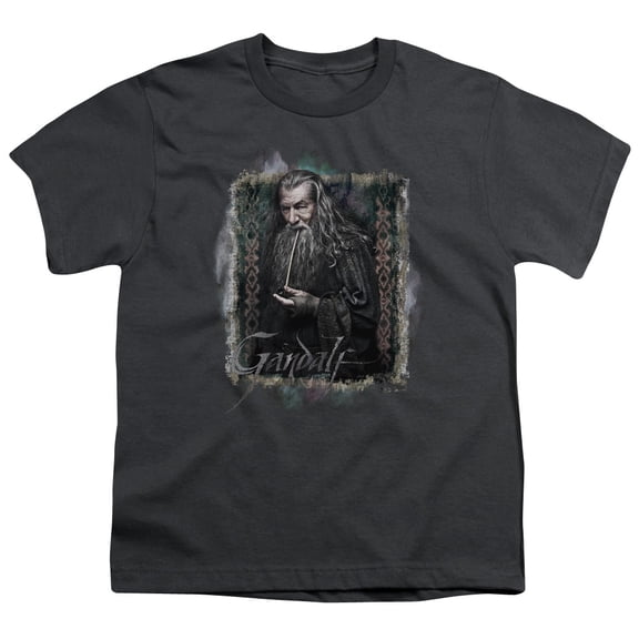 Hobbit Men's Gandalf T-shirt Charcoal