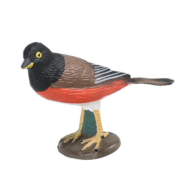 Figura de pájaro realista perfecl juguete educativo decoraciones encantadoras escultura Estilo F