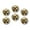 C0628, variant on Glass Refrigerator Magnet 6Pcs Magnetic Fridge Sticker,Decor for Kitchen,Whiteboard,Cabinet,Extremely Beautiful King Charles Spaniel