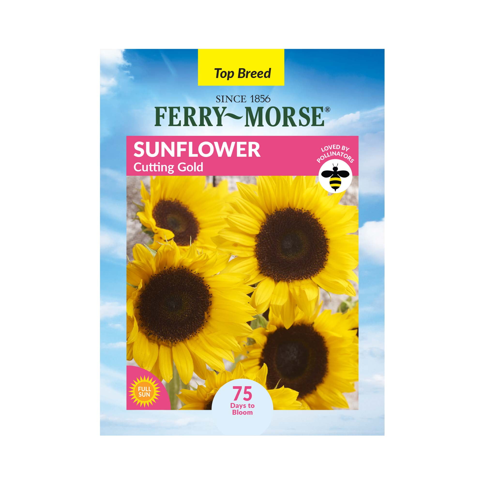 Eve SunFlower Extra Iberia Sunflower & Extra Virgin Olive Oil Blend, 3 ...