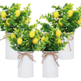 thumbnail image 1 of Fake Lemon Tree- Bonsai Tree Indoor with Pot Farmhouse Home Decor Living Room Kitchen Shelf Office Desk Bathroom Table Mini Outdoor Tree Faux Plant Porch Lemon Decor Floor Plant Tall, 1 of 5