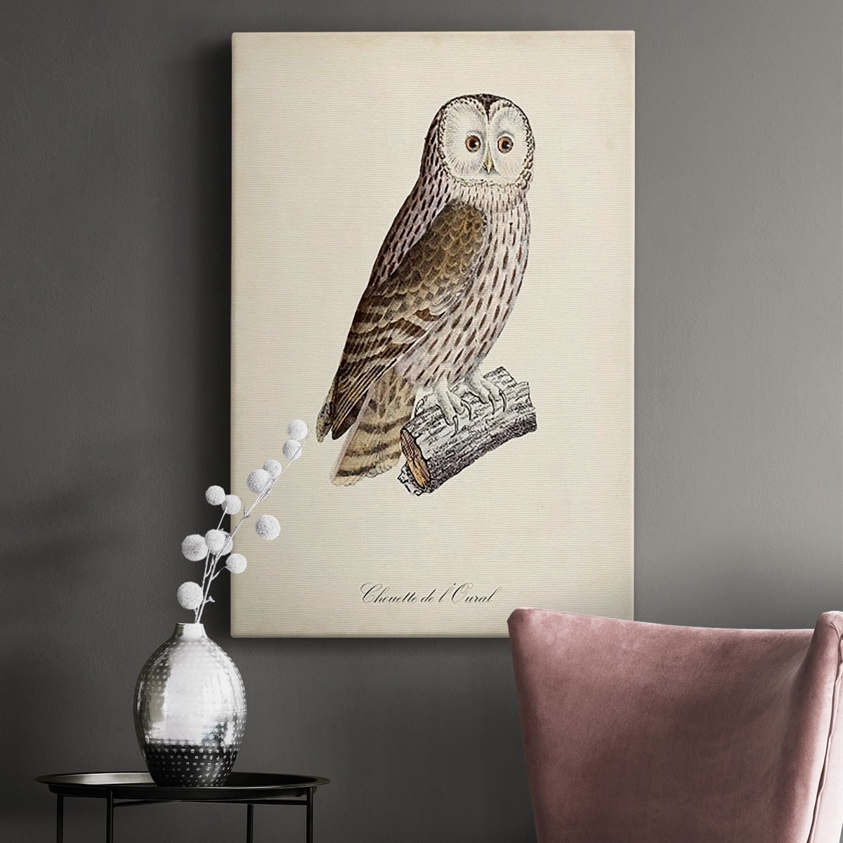 French Owls V Premium Gallery Wrapped Canvas - Ready to Hang