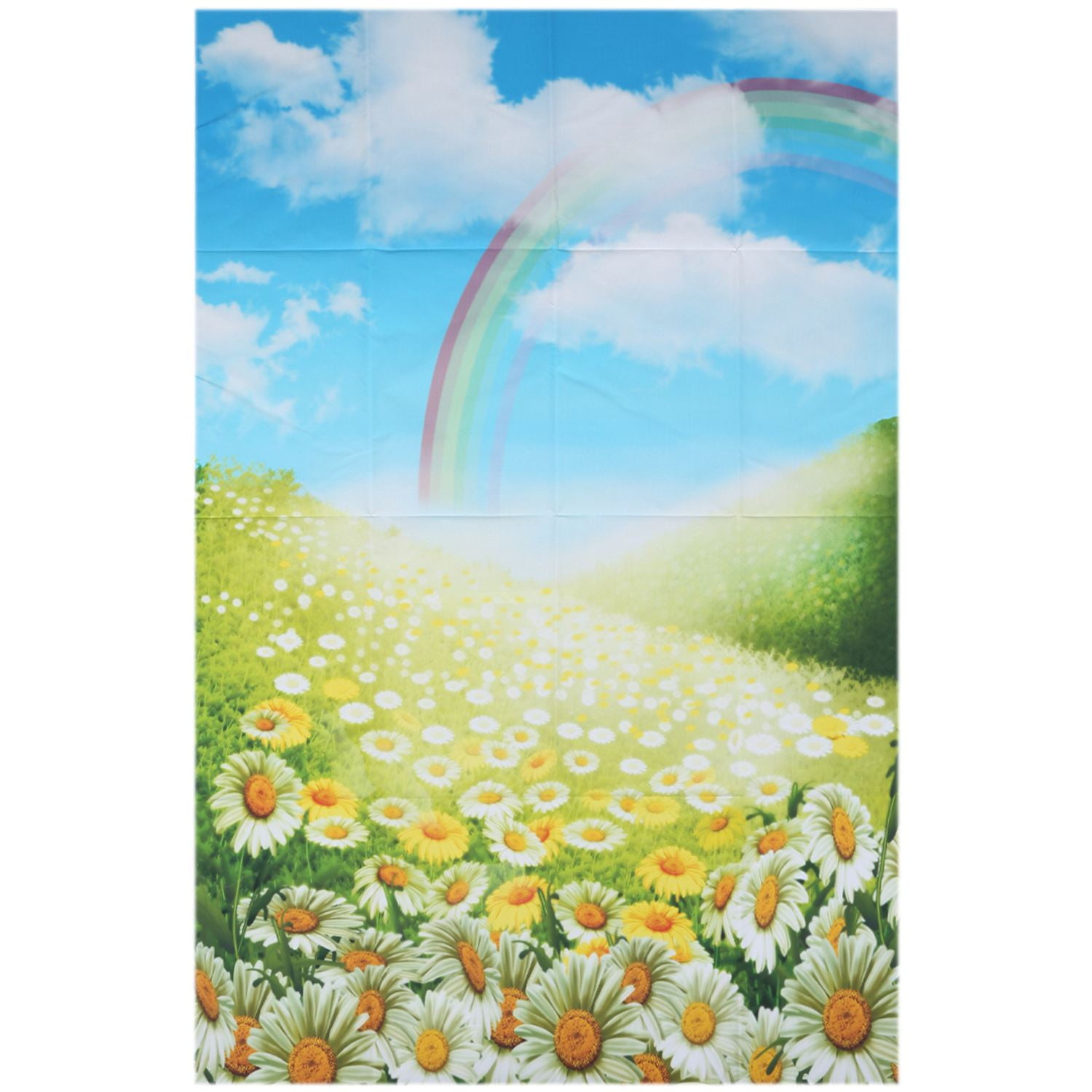 Daisy And Rainbow 3 inch x 5 inch Flower Theme Background 