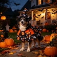 thumbnail image 5 of Aoznliie Dog Clothes Set, Halloween Pet Cloak with Hat for Party Apparel, 7x5 inch Adjustable Costume for Cats Dogs, Black L, 5 of 7