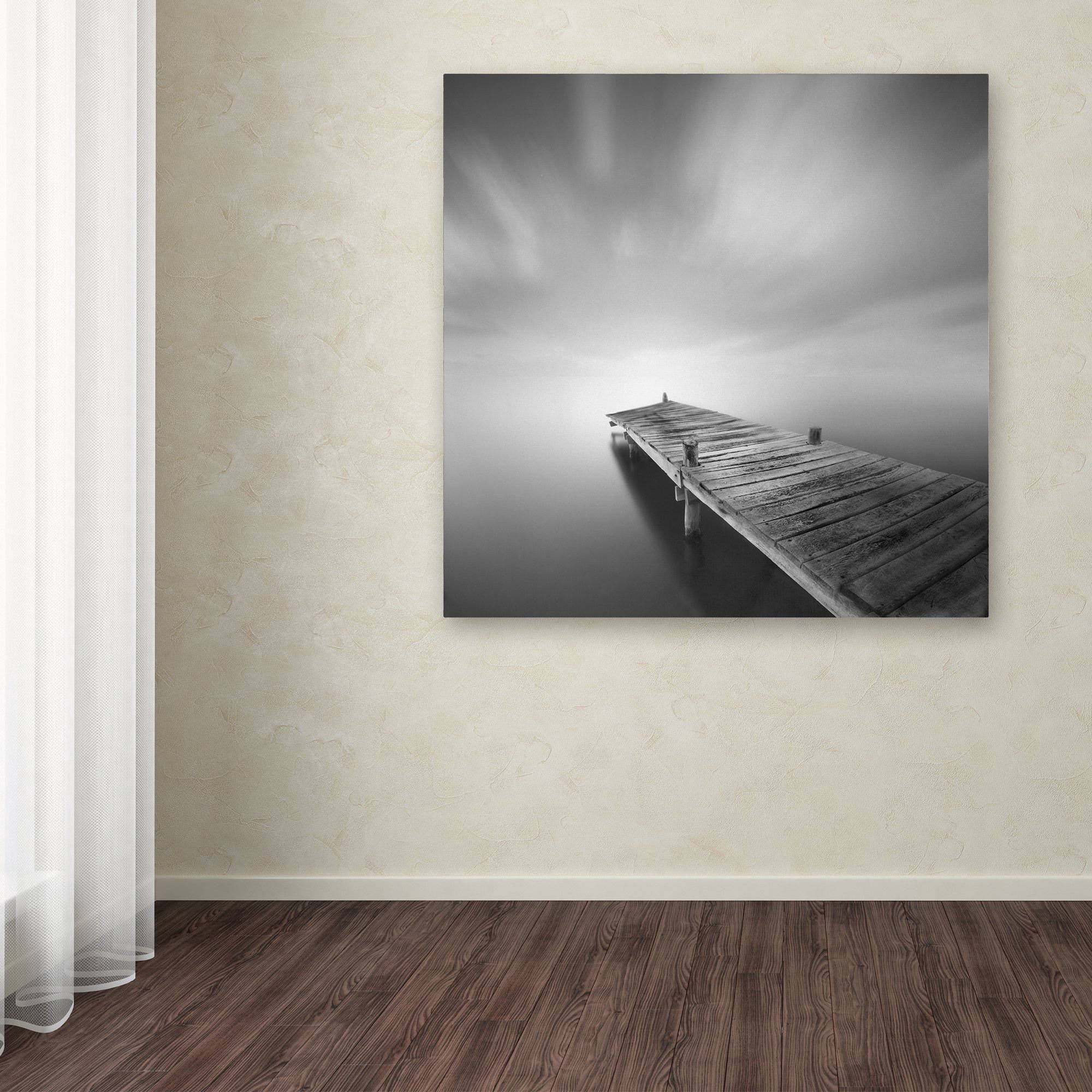 Trademark Fine Art "Destiny IVb" Canvas Art by Moises Levy
