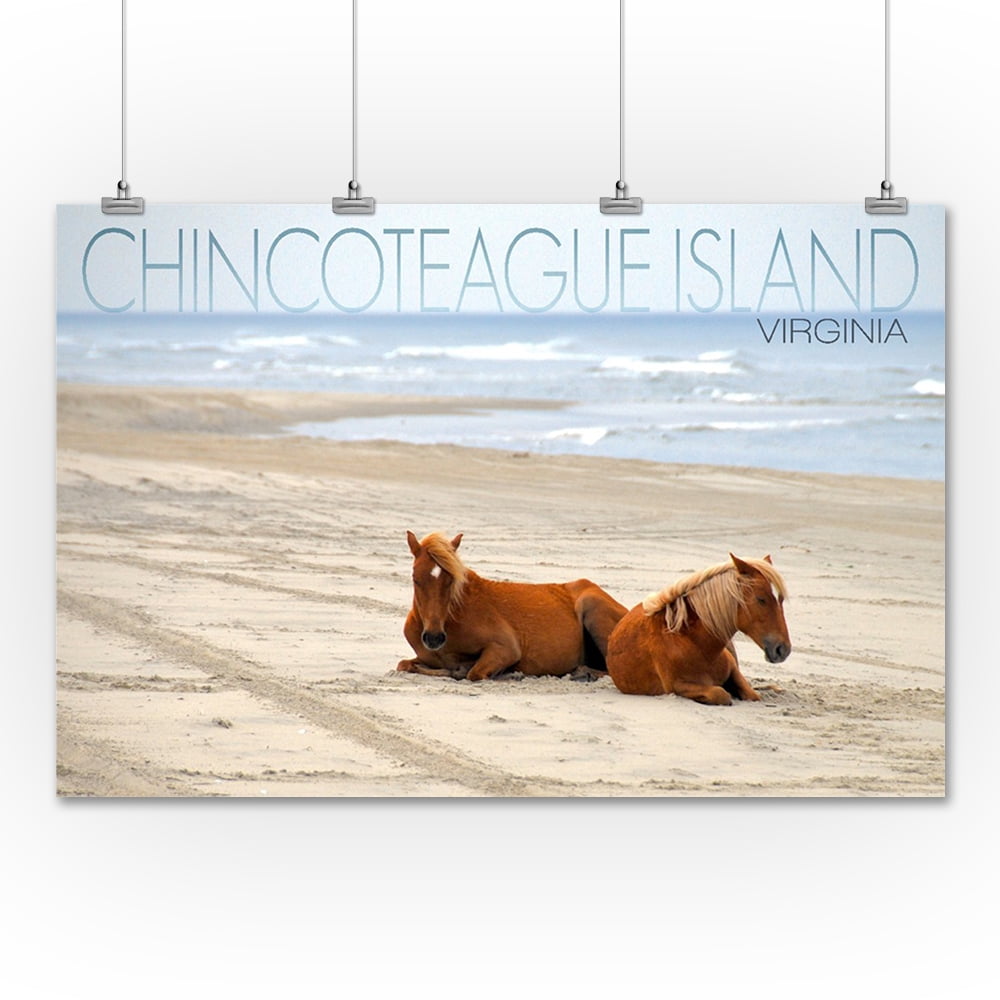 Chincoteague Island, Virginia Wild Horses on Beach Lantern Press