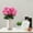 Pink, variant on LKZQHMC Artificial Geranium Flowers for Outdoors Silk Flowers Outside UV Resistant Red Fake Geraniums Bush Faux Flowers for Planter Outdoor Decor Indoor Garden Patio Table Centerpiece,Blue