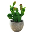 thumbnail image 1 of Decoraciones creativas de plantas tropicales artificiales de bonsái de cactus artificiales, 1 of 5