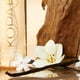 thumbnail image 5 of Bruma para cabello y cuerpo Kopari Seychelles Sands, 120 ml, vainilla tostada, 5 of 7