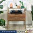 thumbnail image 4 of Sauder International Lux Night Stand in Sindoori Mango Finish, 4 of 9