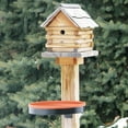 thumbnail image 3 of Farm Innovators Bain d'Oiseaux Chauffant Extérieur 3-en-1 Toutes Saisons de 75 Watts (Lot de 2), 3 of 8