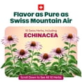 thumbnail image 3 of Ricola Honey Lemon with Echinacea Cough Drops for Sore Throat and Cough Relief, 19 Count, 3 of 6