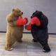 thumbnail image 3 of Traje inflable de oso musculoso de boxeo para adultos de 2 m, disfraz de mascota peluda gigante para inflar, personaje animal, disfraz de cosplay para vestir, 3 of 4