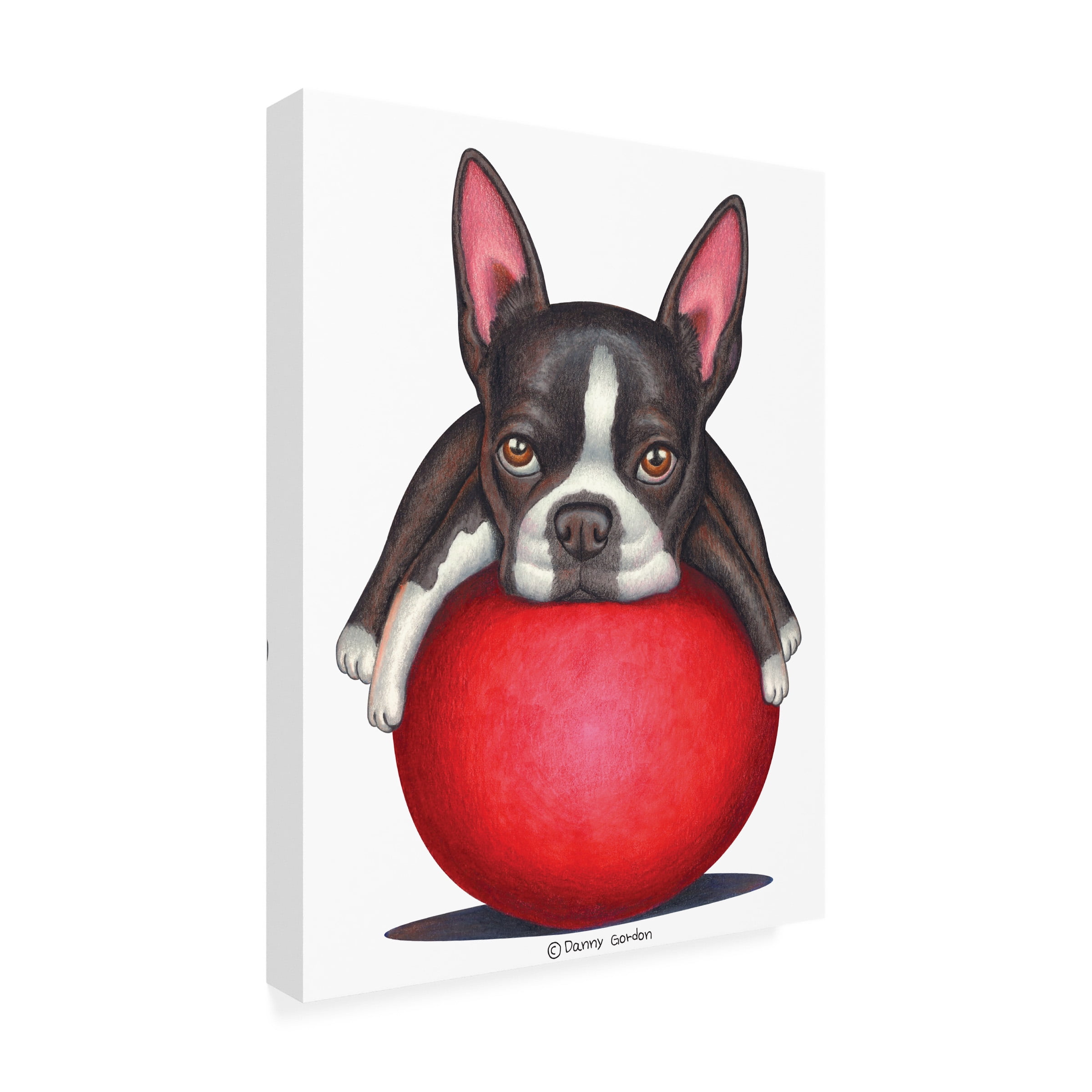 Danny Gordon Art 'Boston Terrier on Red Ball' Canvas Art