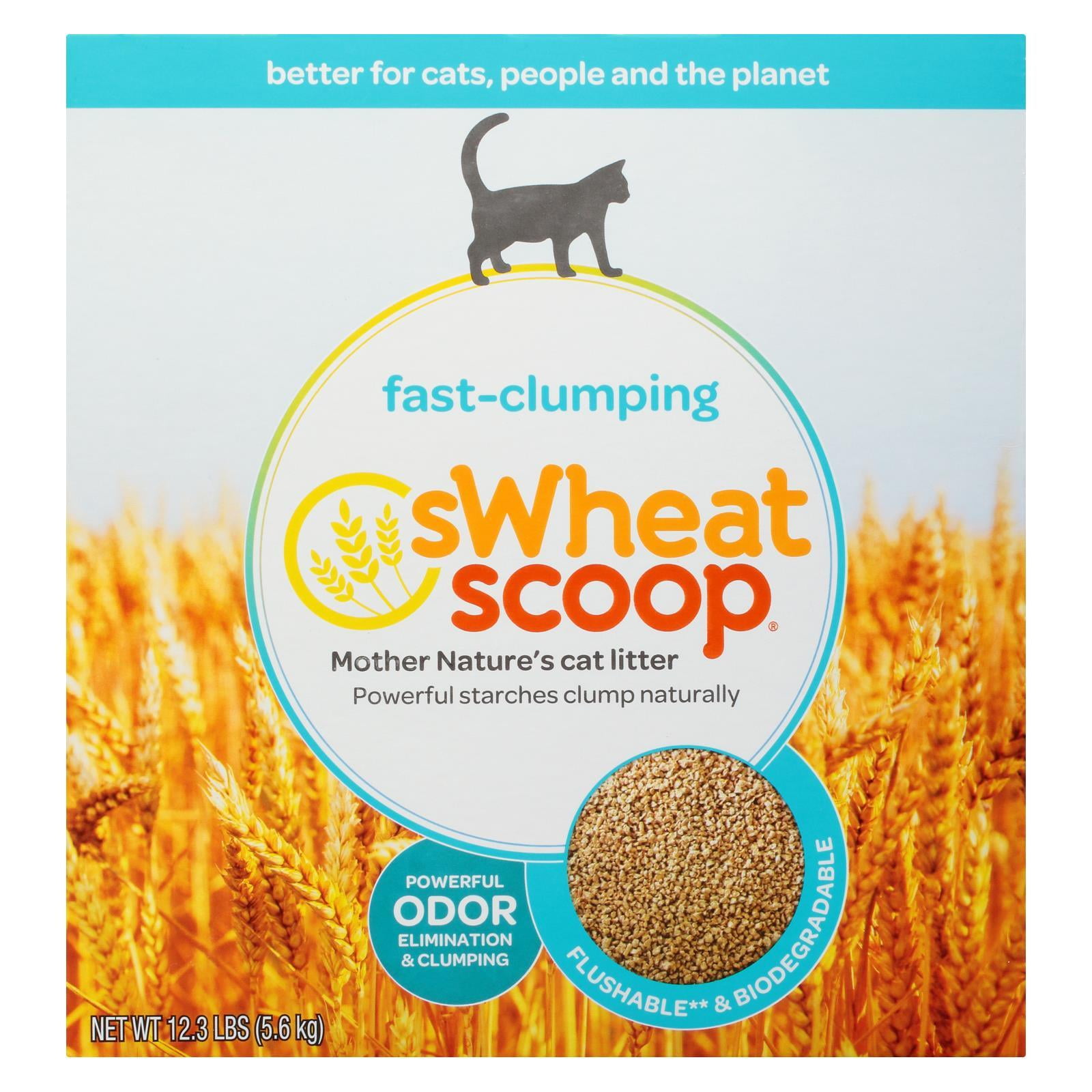 Swheat Scoop Cat Litter Fast Clump Box Case of 312.3 LB