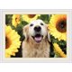 thumbnail image 3 of BELLCAT Dog Sunflower Diamond Painting - Golden Retriever Diamond Painting Kits, Full Coverage, Round Rhinestone, DIY Art- Fun Gift for Adults,Childre, 3 of 4
