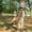 Camouflage, variant on Camo Tree Camping Chair Hunting Hammock Seat Hunting Chair Portable and Light Weight Camping Stool on Tree